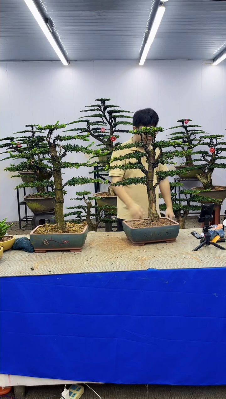 以实际为准一物一拍，所见即所得