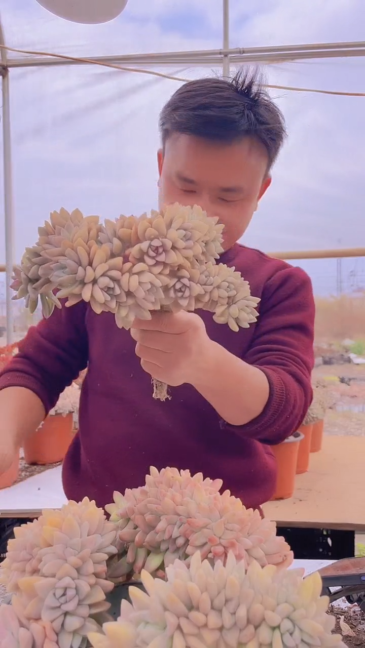 【闪购商品】缀化170