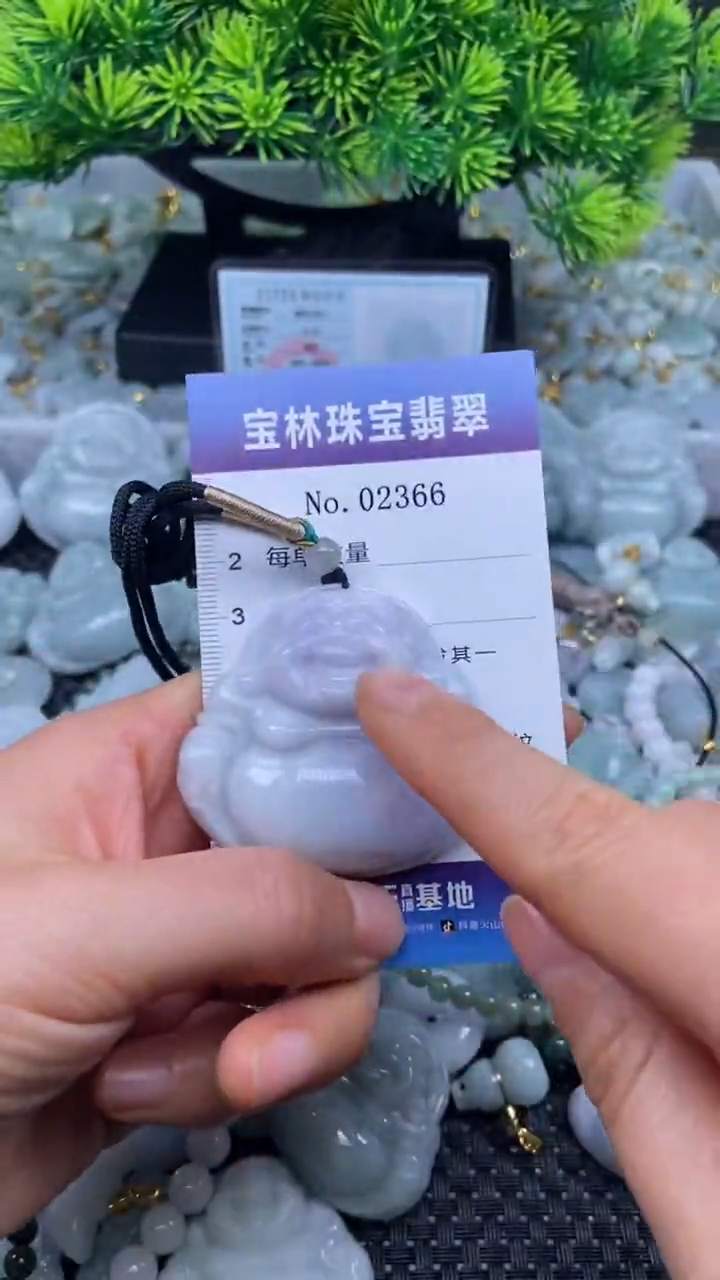 颈饰未镶嵌翡翠天然缅甸翡翠·2366