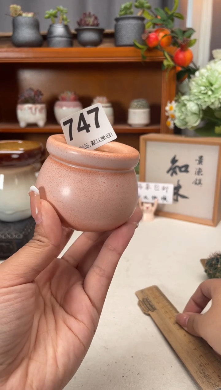 瓷片747知木小芳花盆