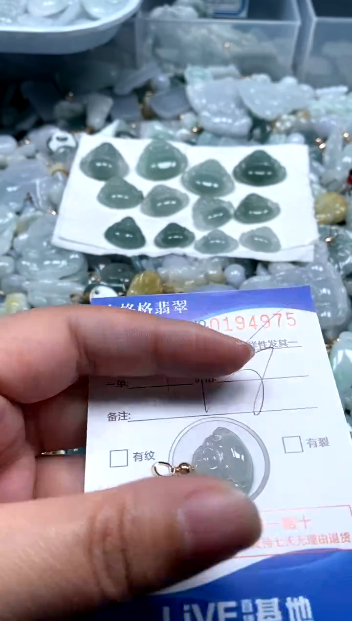 【闪购商品】翡翠颈饰未镶嵌闪购商品0194975