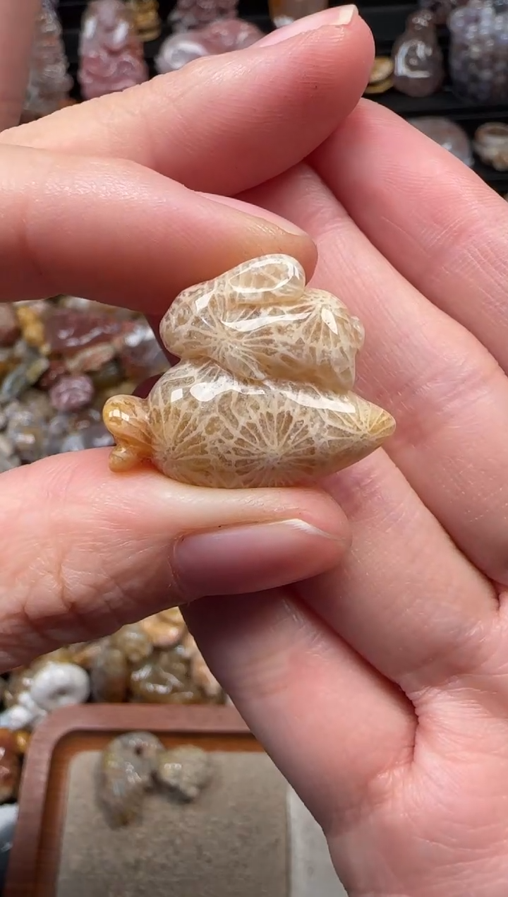颈饰未镶嵌硅化珊瑚（珊瑚玉）935