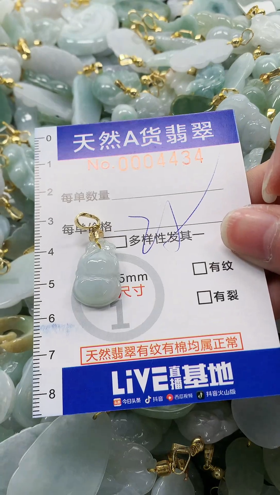 颈饰未镶嵌翡翠纯天然a货翡翠
