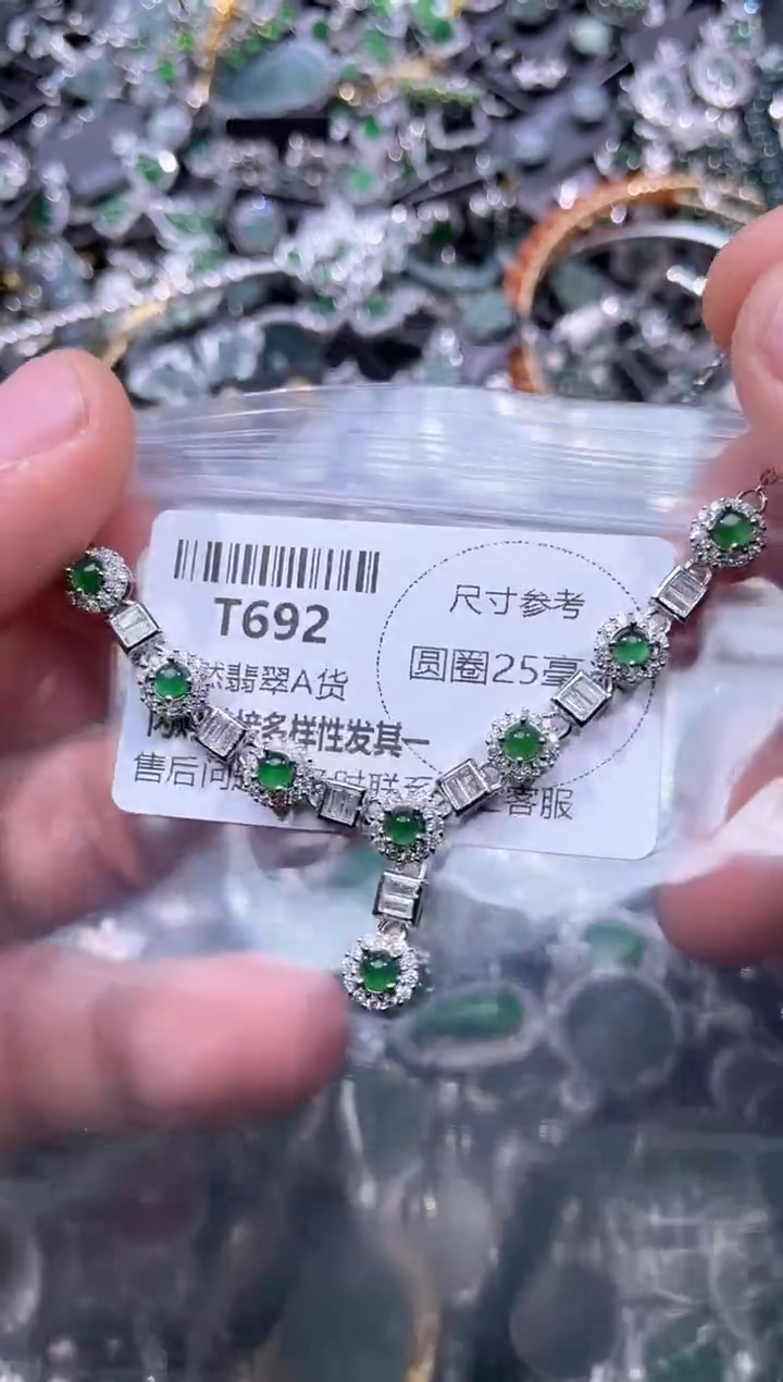 【闪购商品】翡翠颈饰未镶嵌T692项链