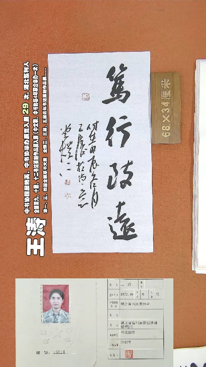 【闪购商品】书法205王涛书法作品