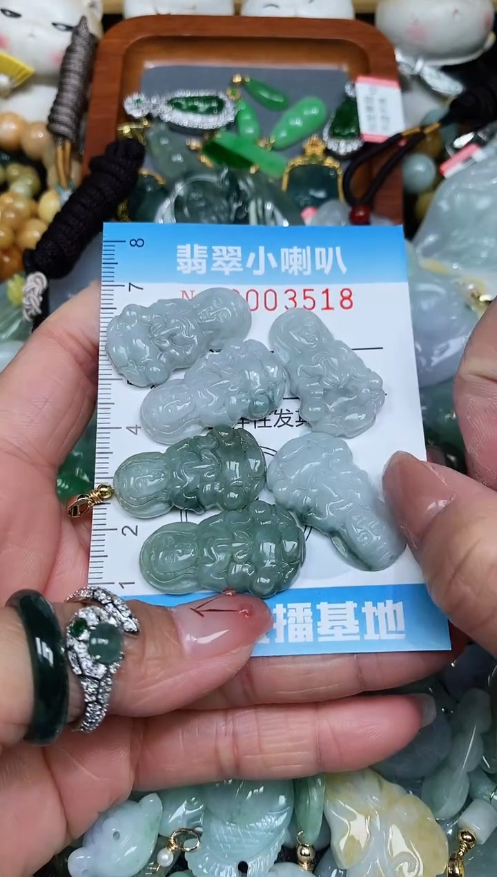 【闪购商品】翡翠颈饰未镶嵌闪购0003518多样性发其一