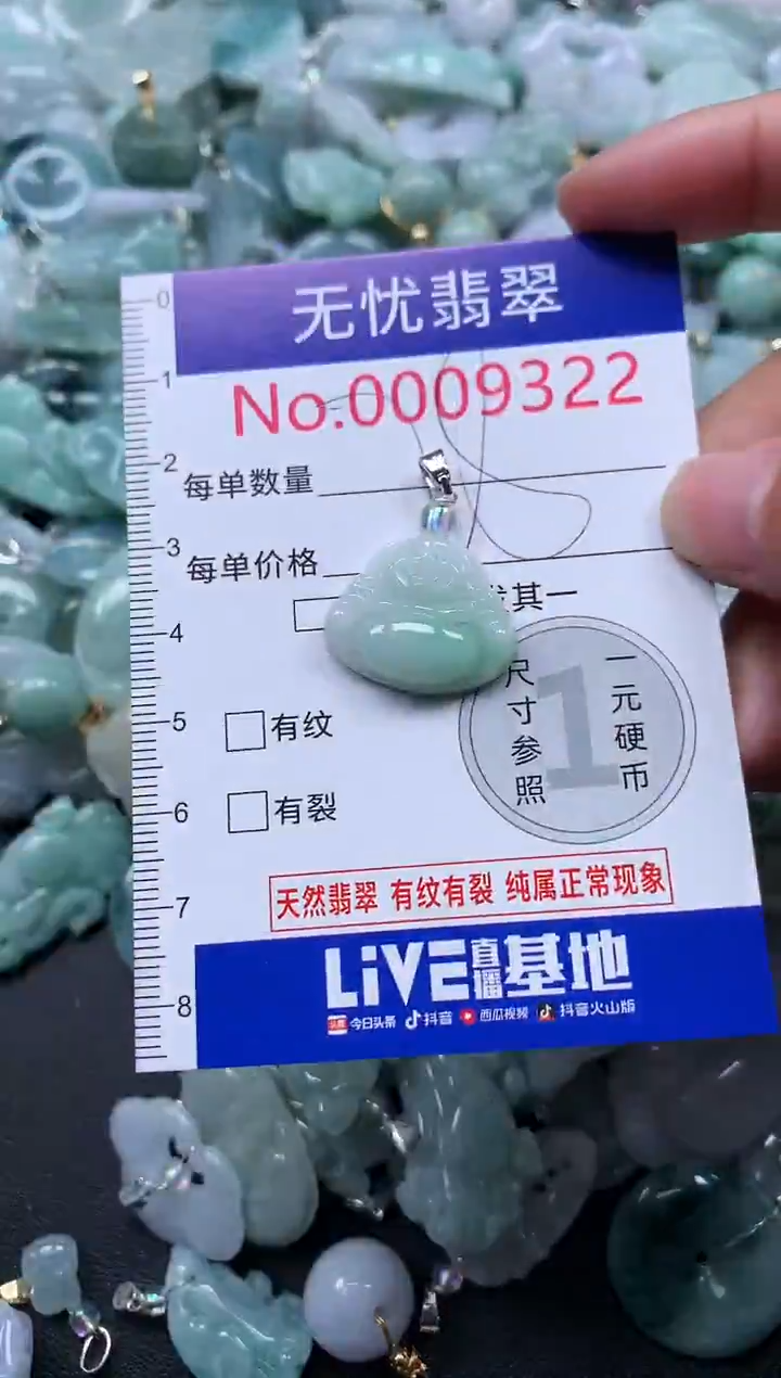 颈饰未镶嵌翡翠9322