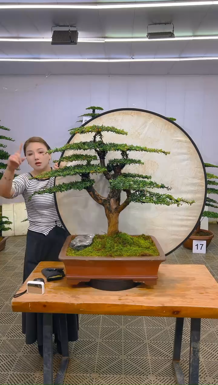 无花朵一物一拍一物一拍
