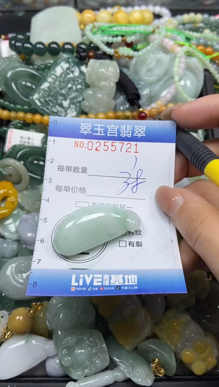 颈饰未镶嵌翡翠闪购C0255721