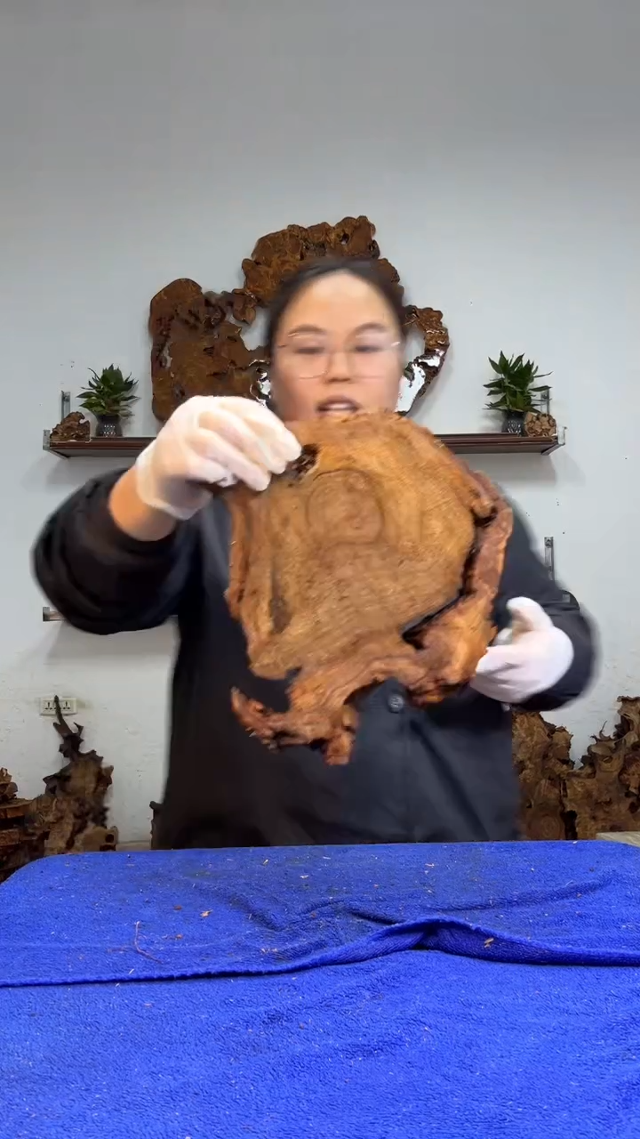 香杉树根瘤板材原料