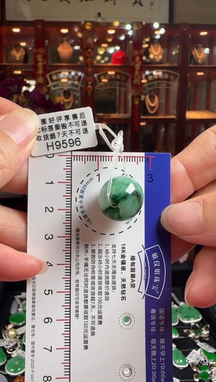 【闪购商品】翡翠颈饰未镶嵌H9596绿路路通