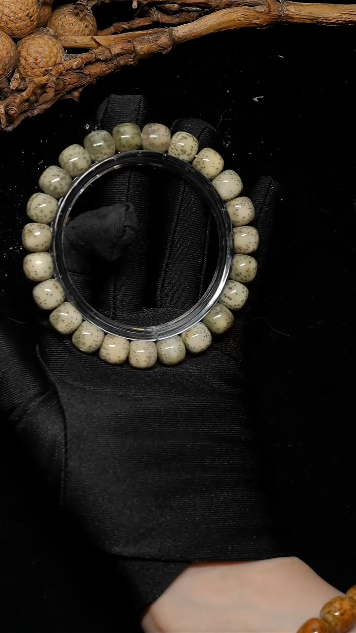手串星月菩提C008-1-林玉料10*9