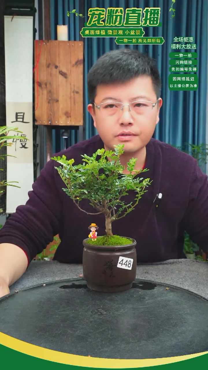 无花朵晓**巷苔藓微景观448号