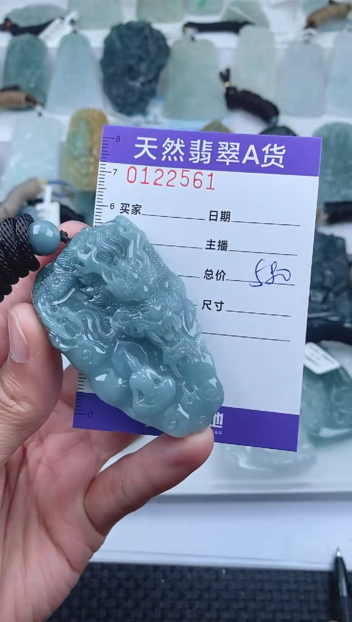 【闪购商品】翡翠颈饰未镶嵌        561