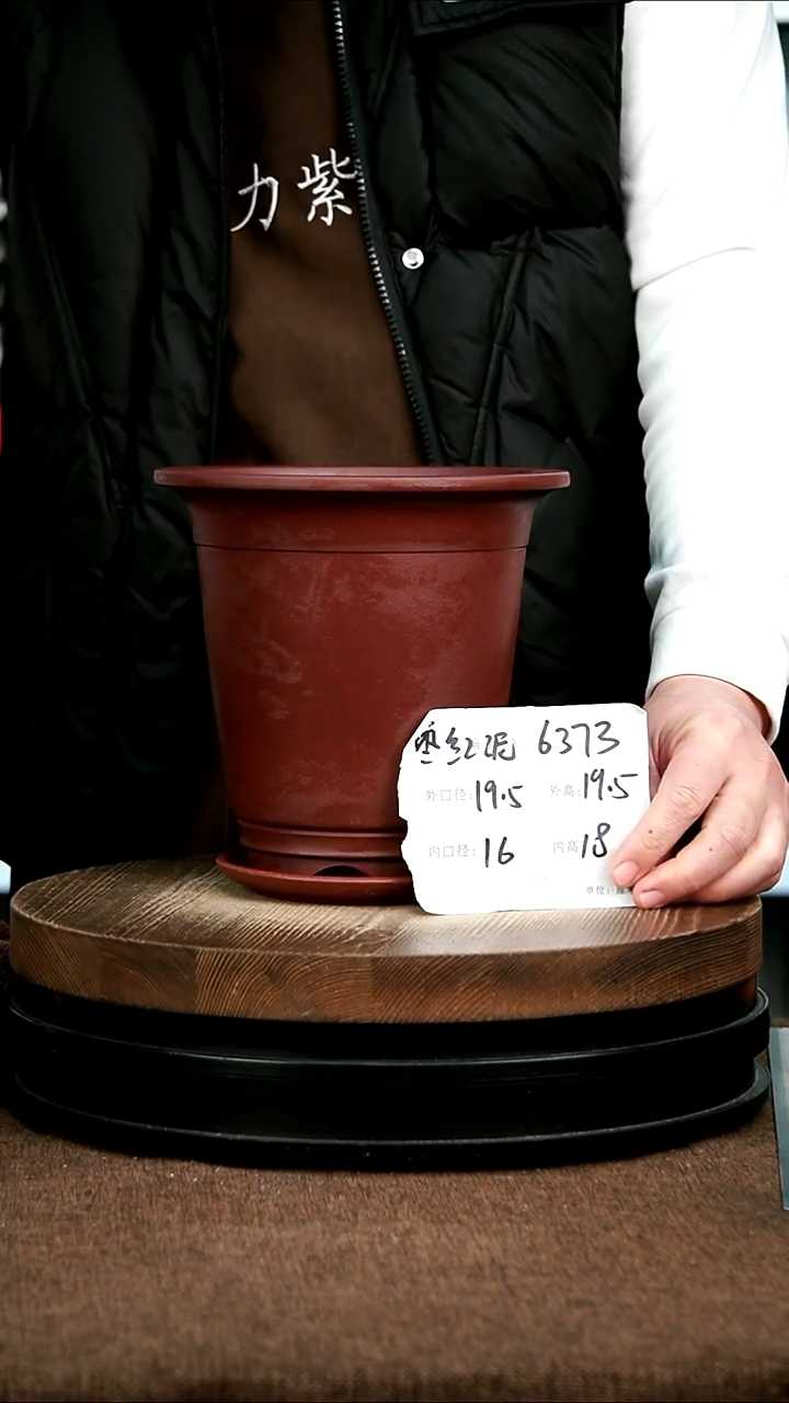 紫砂花盆花卉园艺6373+Z