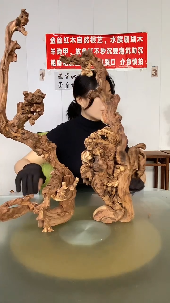 木叶****院金丝红木 羊蹄甲2