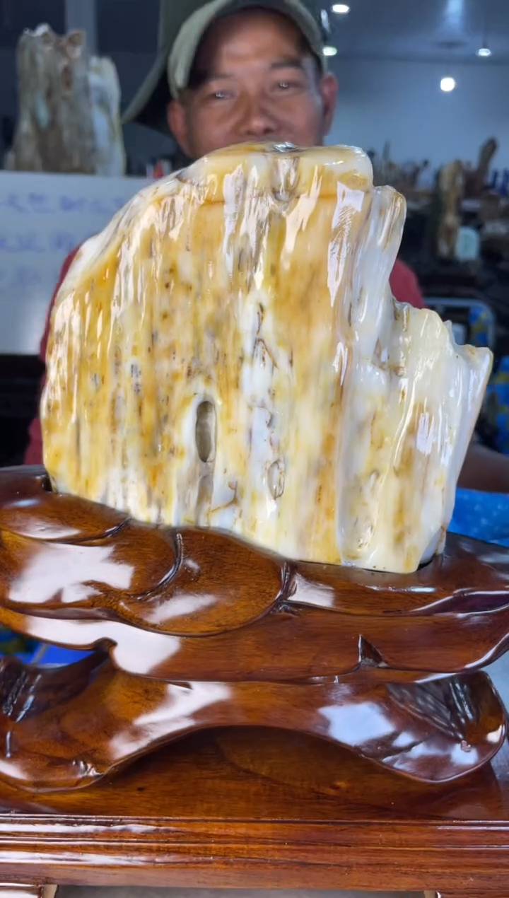 未镶嵌摆件硅化玉13