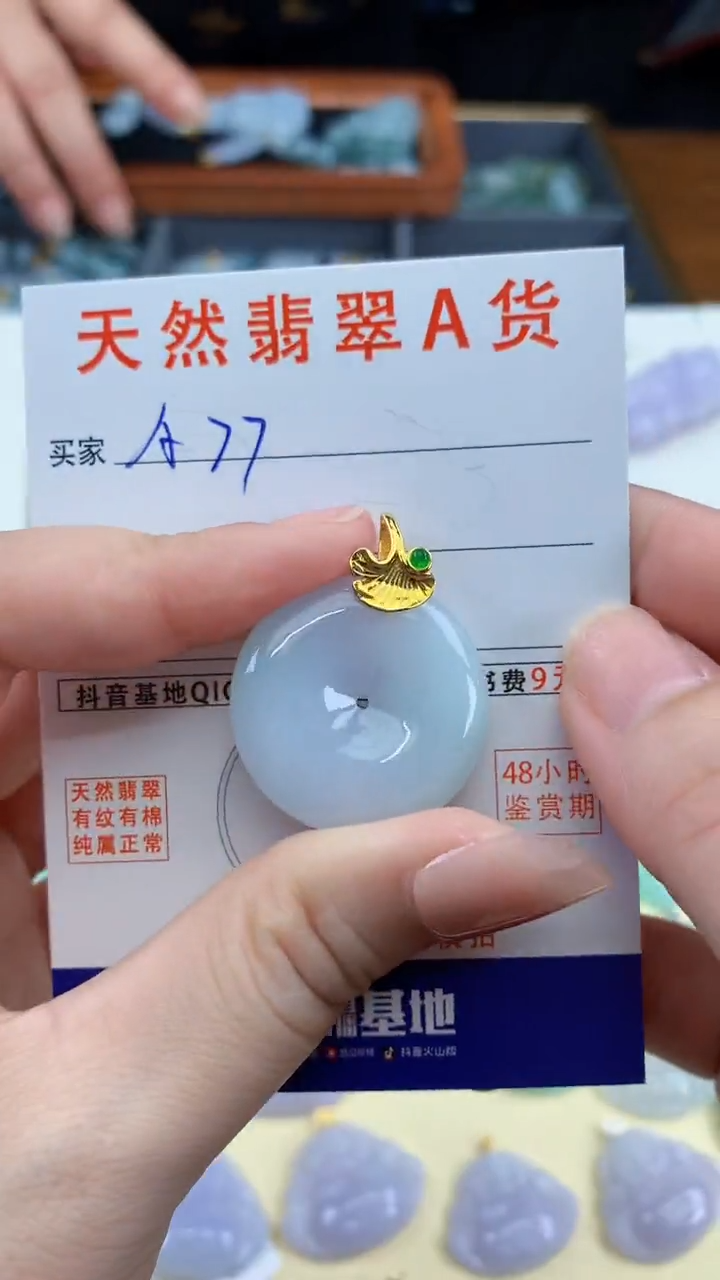颈饰未镶嵌翡翠天然A货翡翠挂件