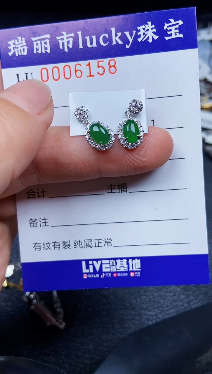 翡翠银S925镶嵌颈饰6158