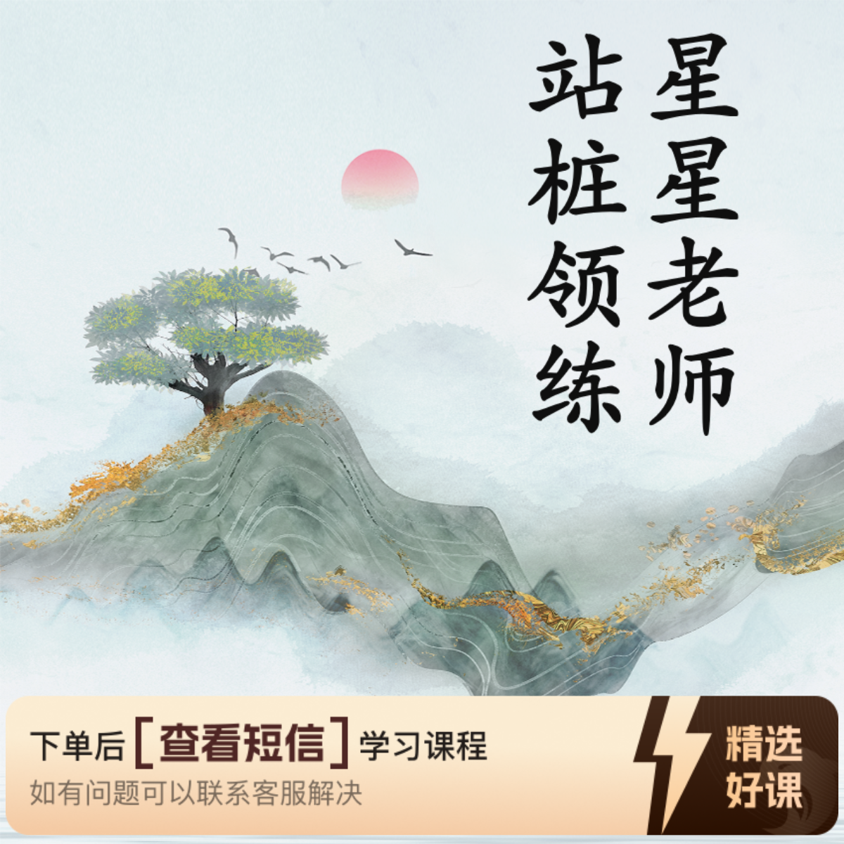 星星老师 站桩领练（留意短信解锁课程）