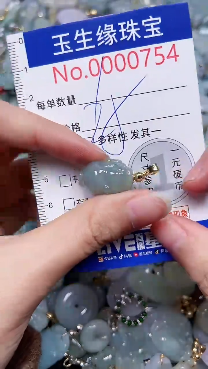 【闪购商品】翡翠颈饰未镶嵌闪购0000754