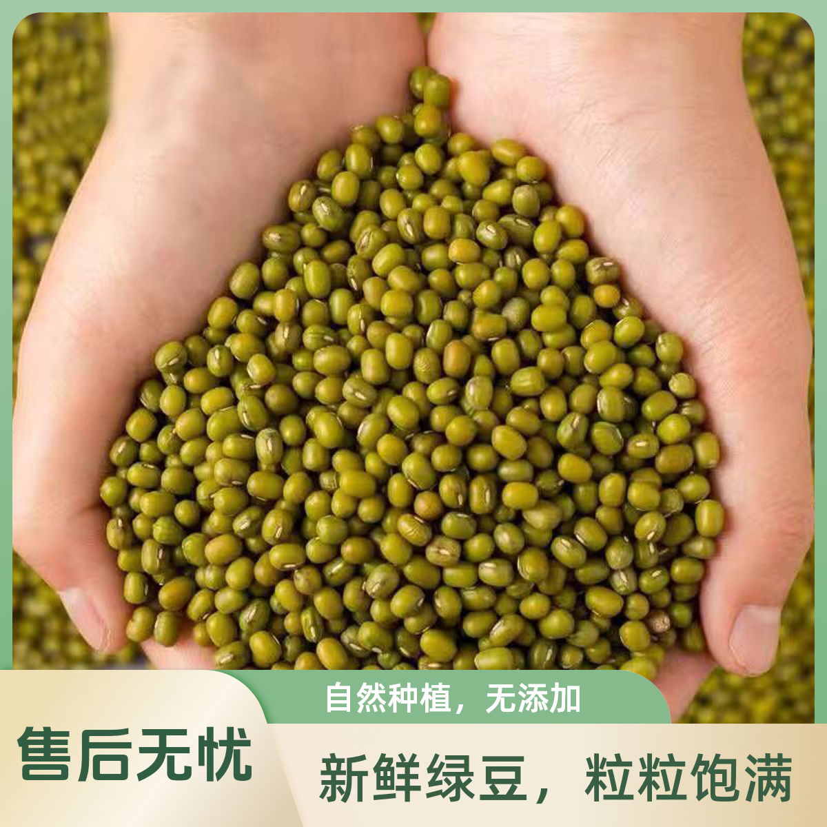 农家优选绿豆颗粒饱满适合熬粥煲汤解暑营养丰富