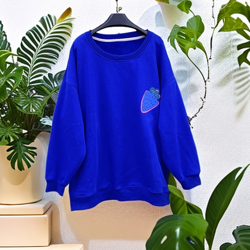 100-200斤 衣长72胸围130 韩国东大门宝宝绒卫衣