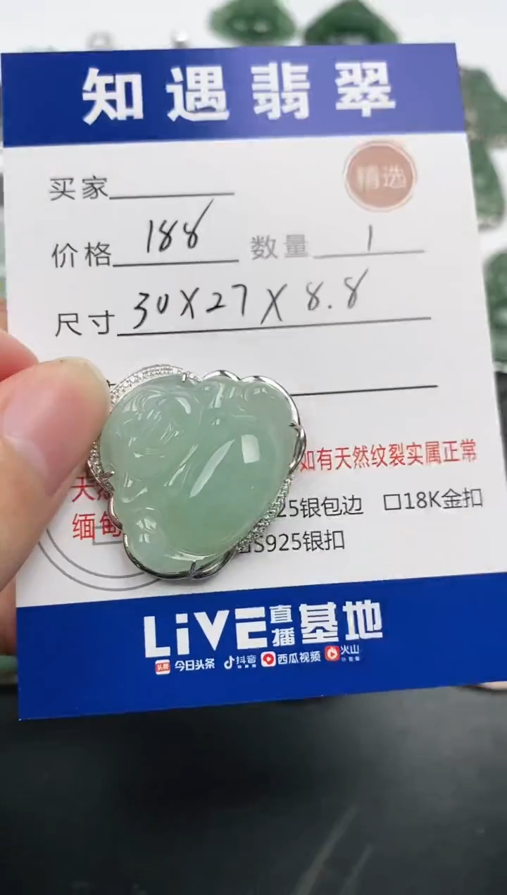 颈饰银S925镶嵌翡翠挂件