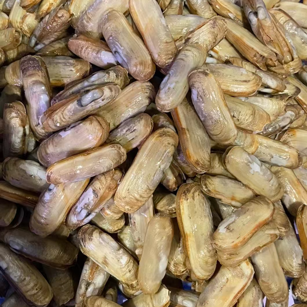 钰隆活鲜【小仁仙】一斤