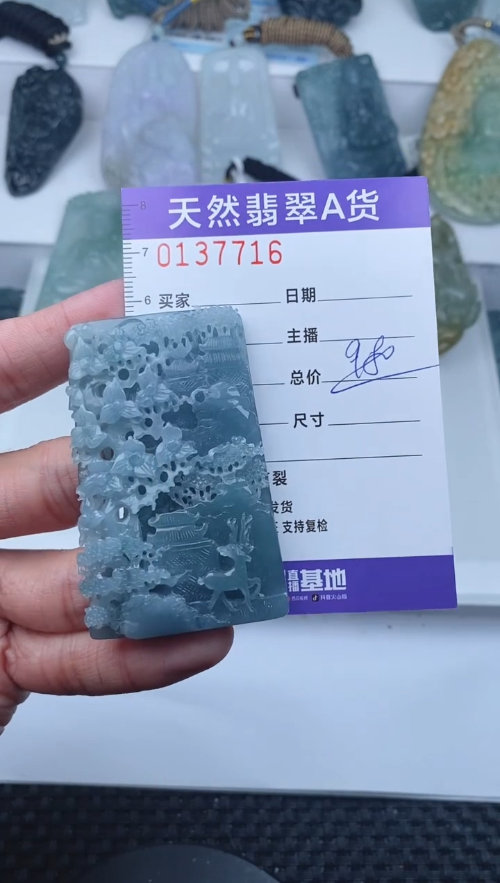 【闪购商品】翡翠颈饰未镶嵌       216