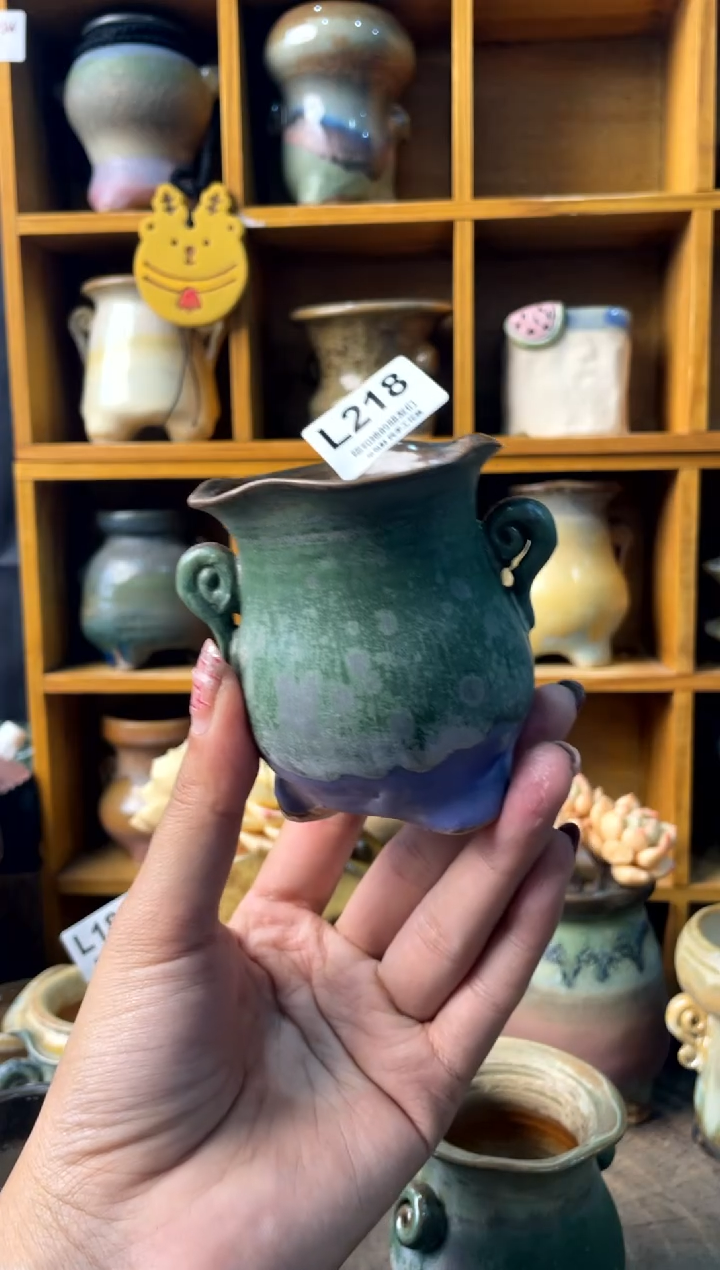 218内口5【多肉花盆多肉盆】