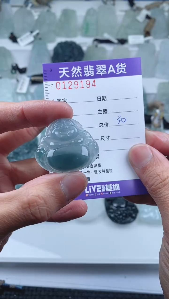 【闪购商品】翡翠颈饰未镶嵌        194