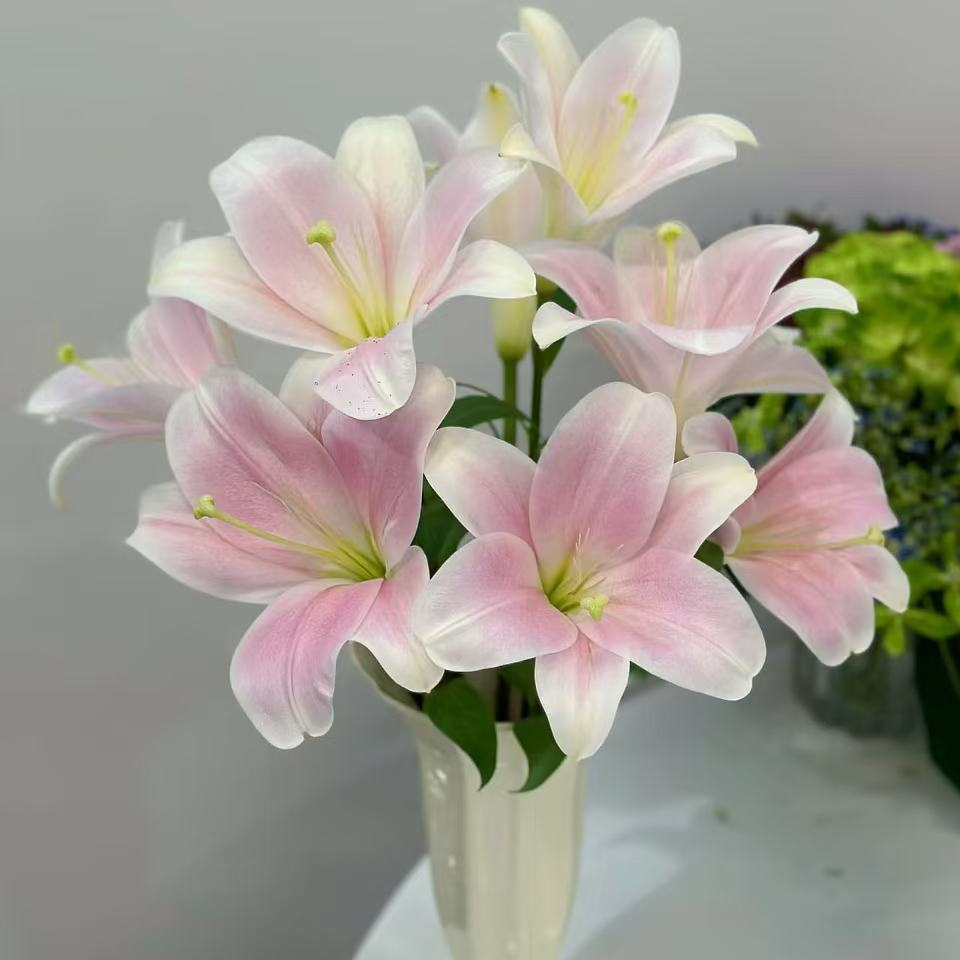 鲜花【粉铁炮百合】同地址两单以上顺丰包邮送货上门+送配草1扎