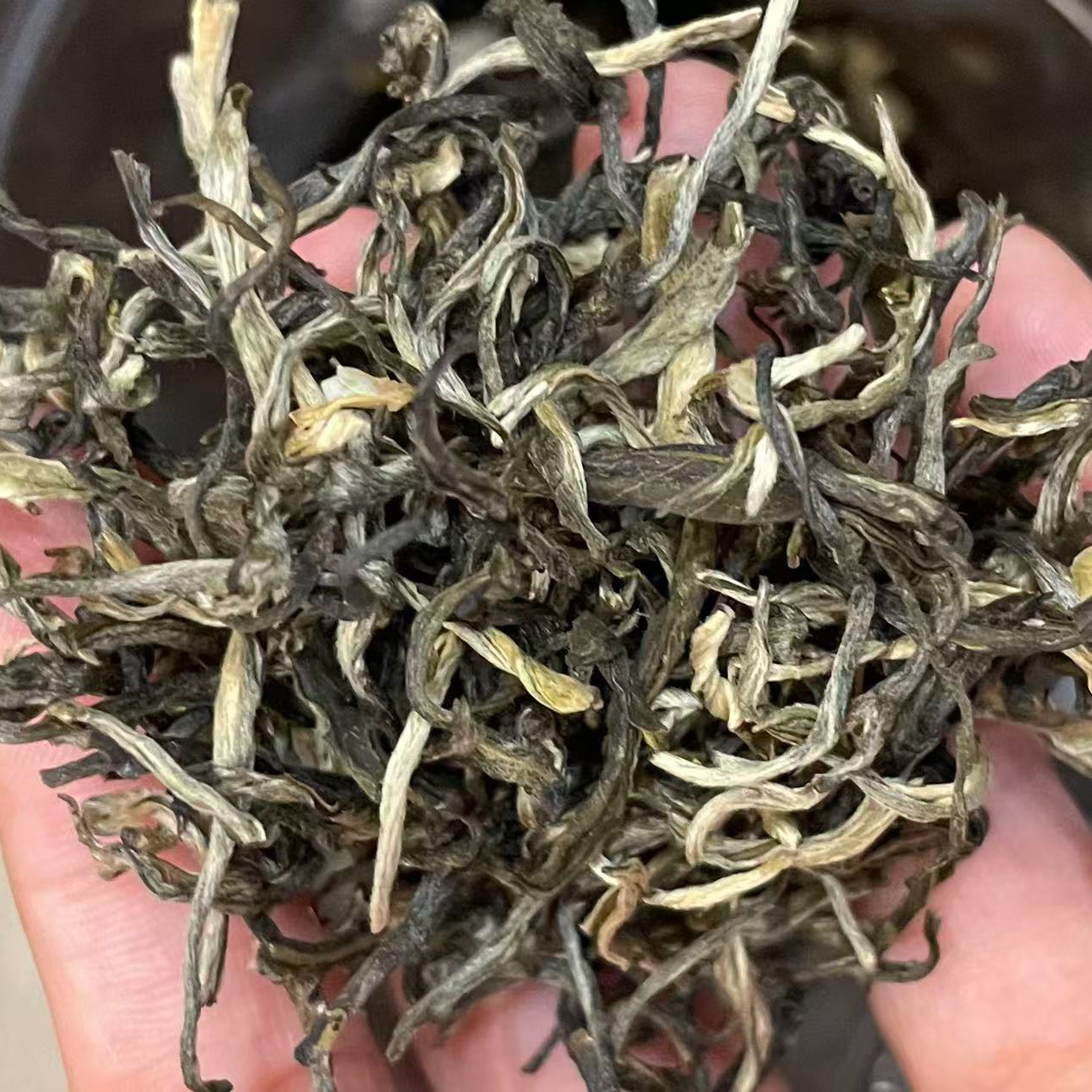 贡品小芽茉莉花茶250g
