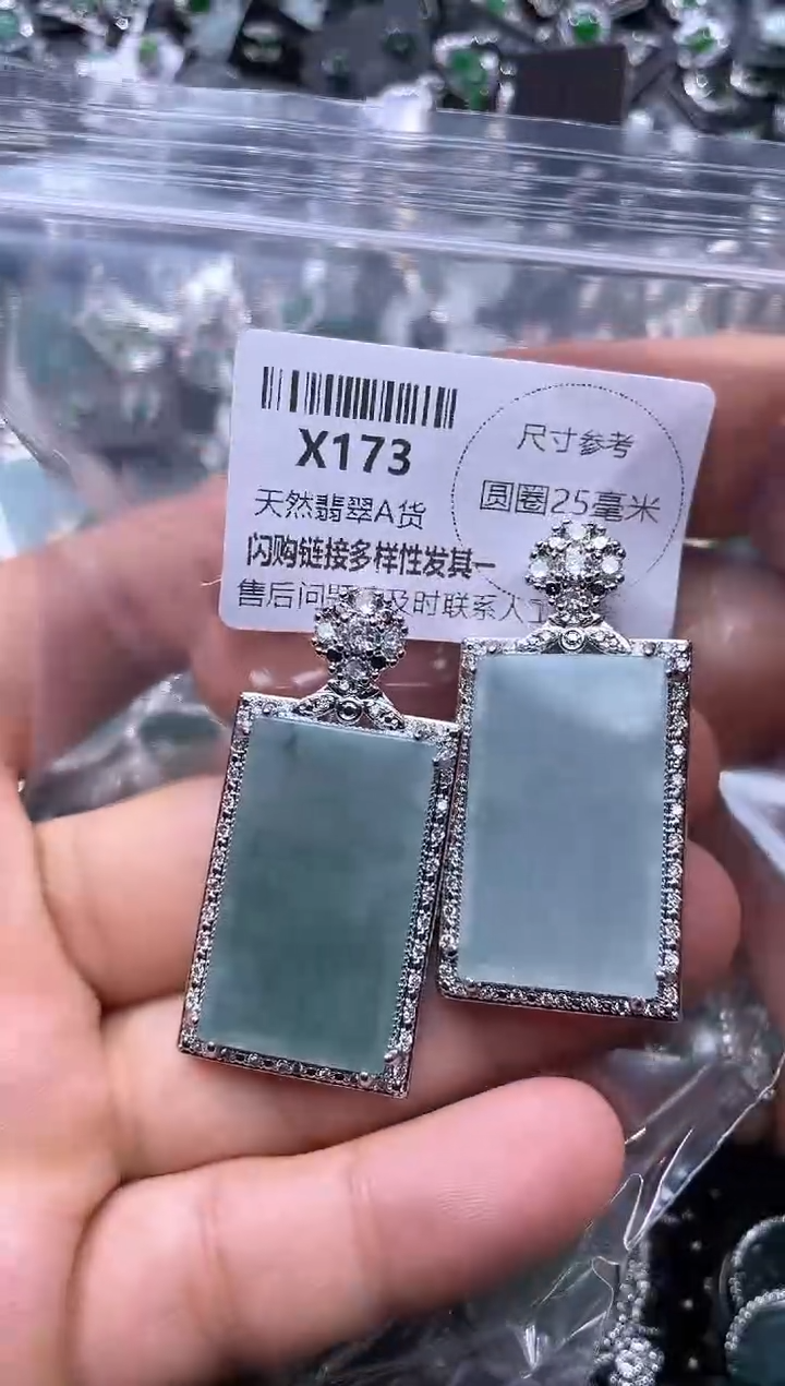 【闪购商品】翡翠颈饰未镶嵌X173多样性发其一