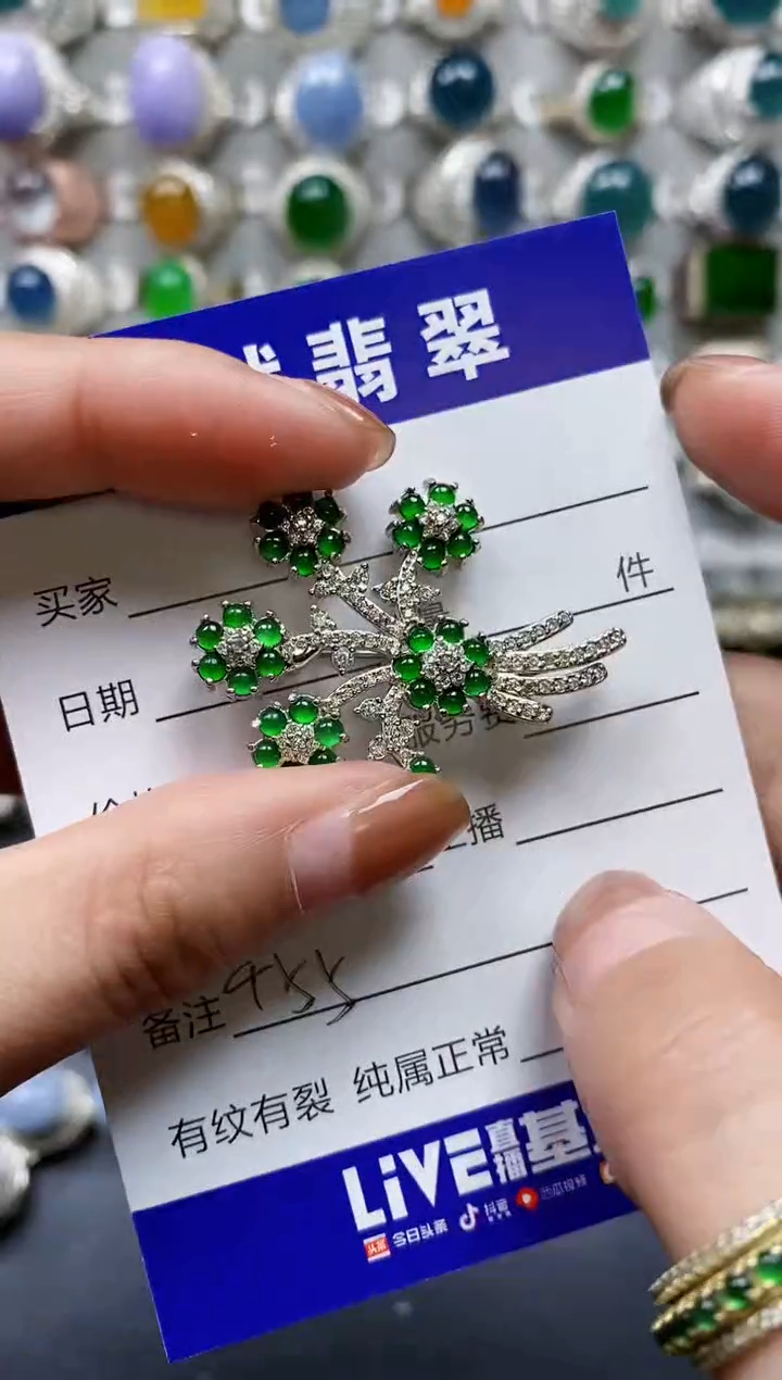 【闪购商品】翡翠颈饰银S925镶嵌0455