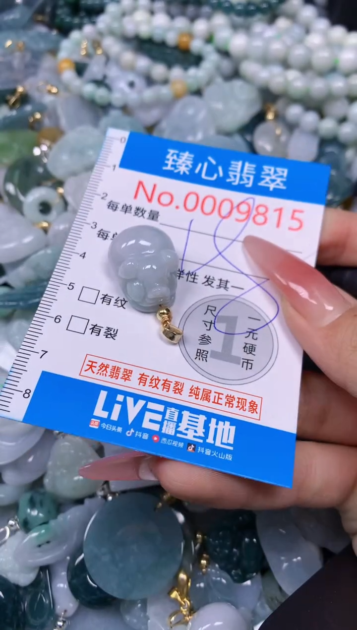 【闪购商品】翡翠颈饰未镶嵌含绳0009815