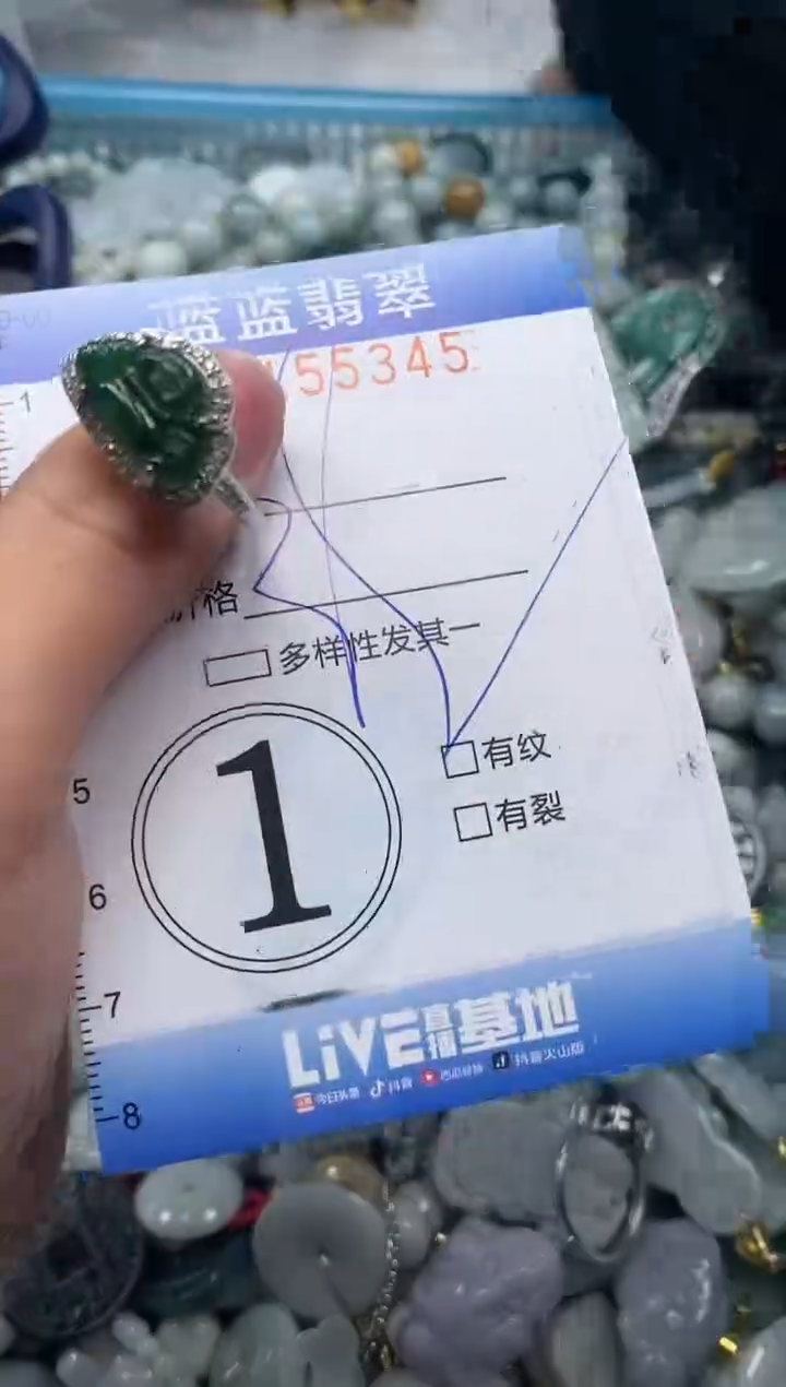 【闪购商品】翡翠颈饰未镶嵌闪购0155345