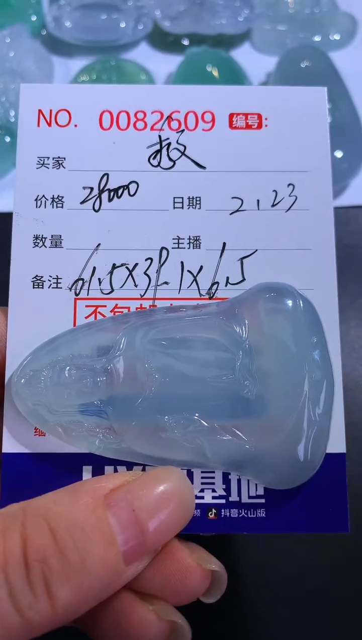 【闪购商品】翡翠颈饰未镶嵌救