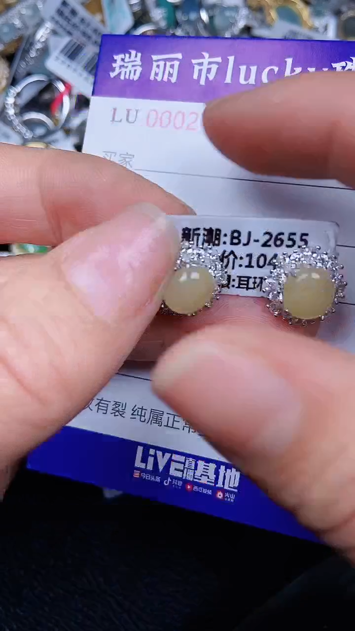 颈饰银S925镶嵌翡翠2199