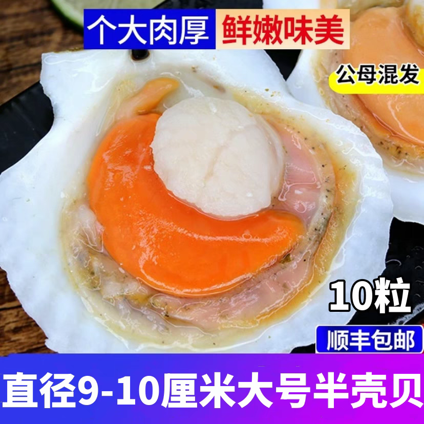 80片超大半壳扇贝9-10特大烤后不缩水海鲜烧烤摆摊专用特大扇贝肉