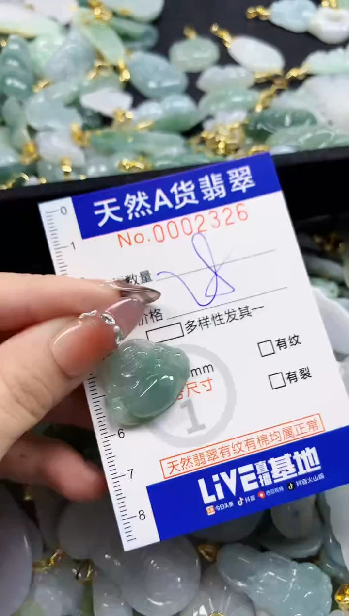 颈饰未镶嵌翡翠天然A货翡翠