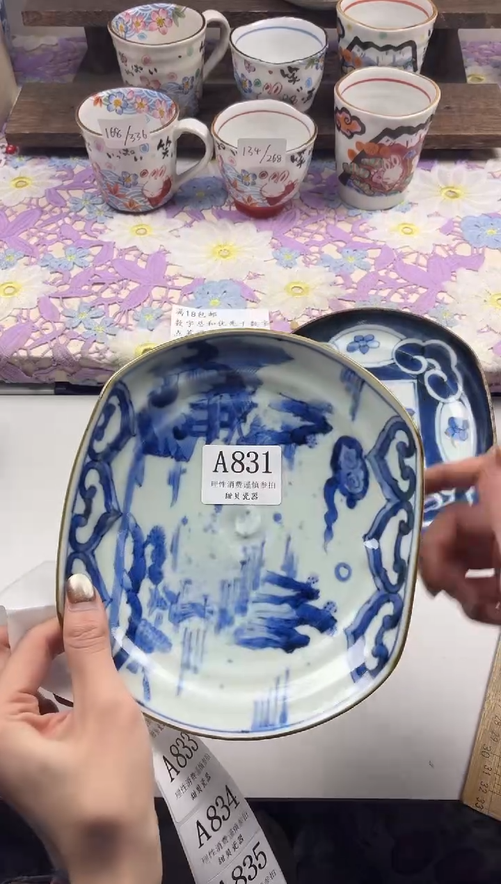 瓷片芥                     A831