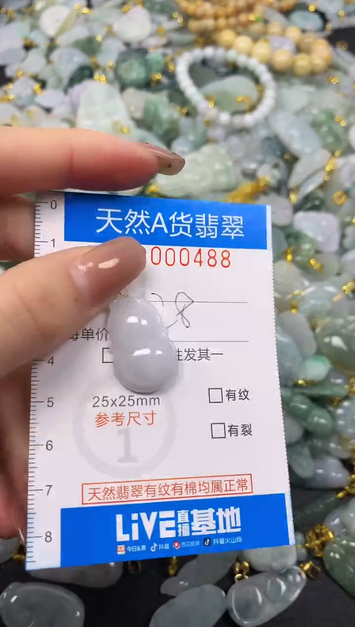 颈饰未镶嵌翡翠净货挂件-0488