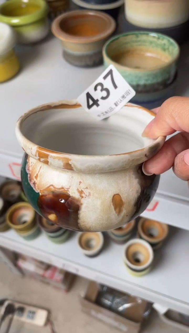 瓷片卷****）437小芳直播编号