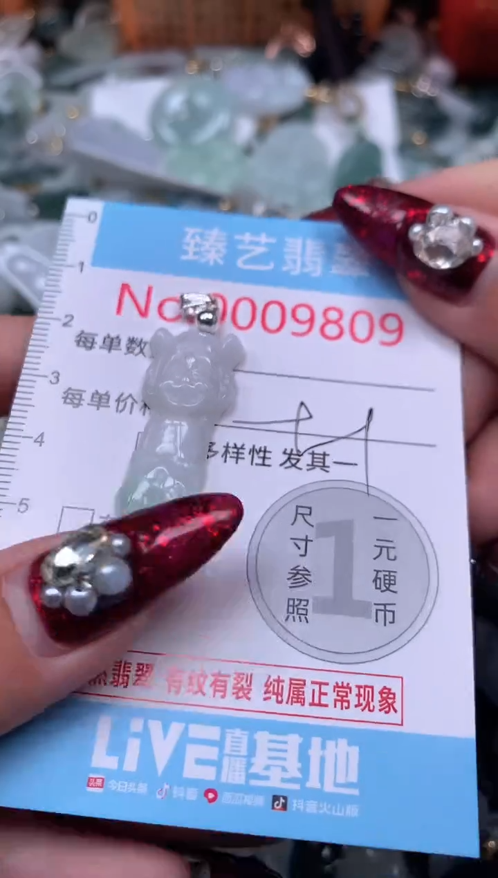 颈饰未镶嵌翡翠9809