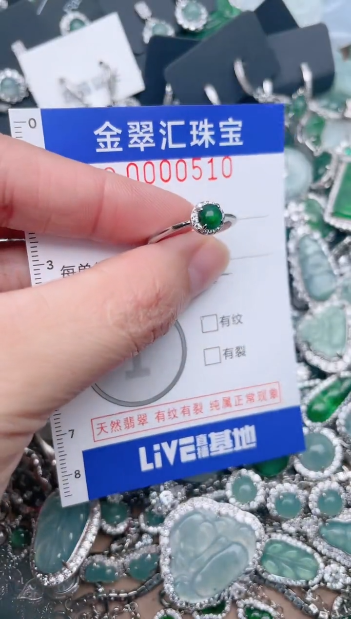 【闪购商品】翡翠颈饰未镶嵌5101.....1