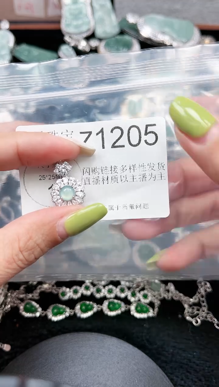 【闪购商品】翡翠颈饰未镶嵌赠皮绳1205