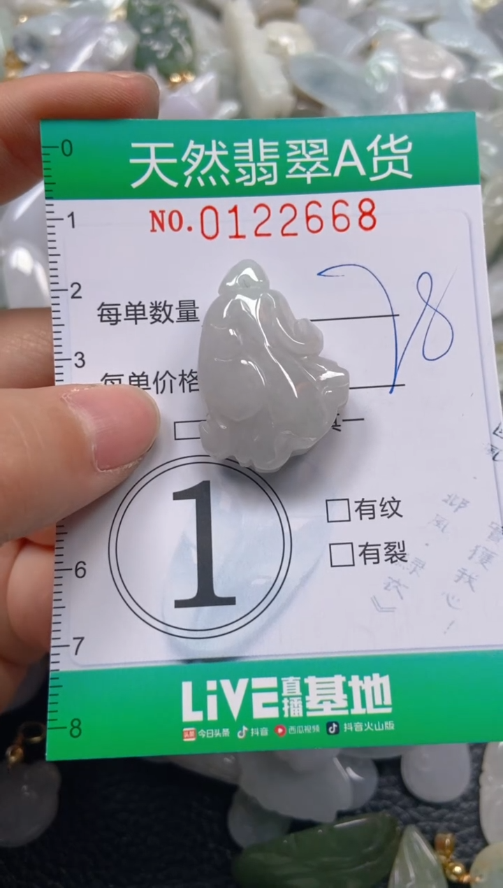 翡翠未镶嵌颈饰闪购0122668