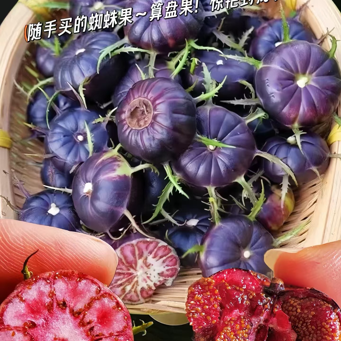 云南高山红果参蜘蛛果算盘果姑娘果女人果当季水果酸甜汁多营养高